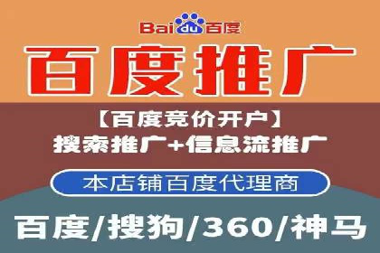谷歌竞价广告在电商行业的运用案例